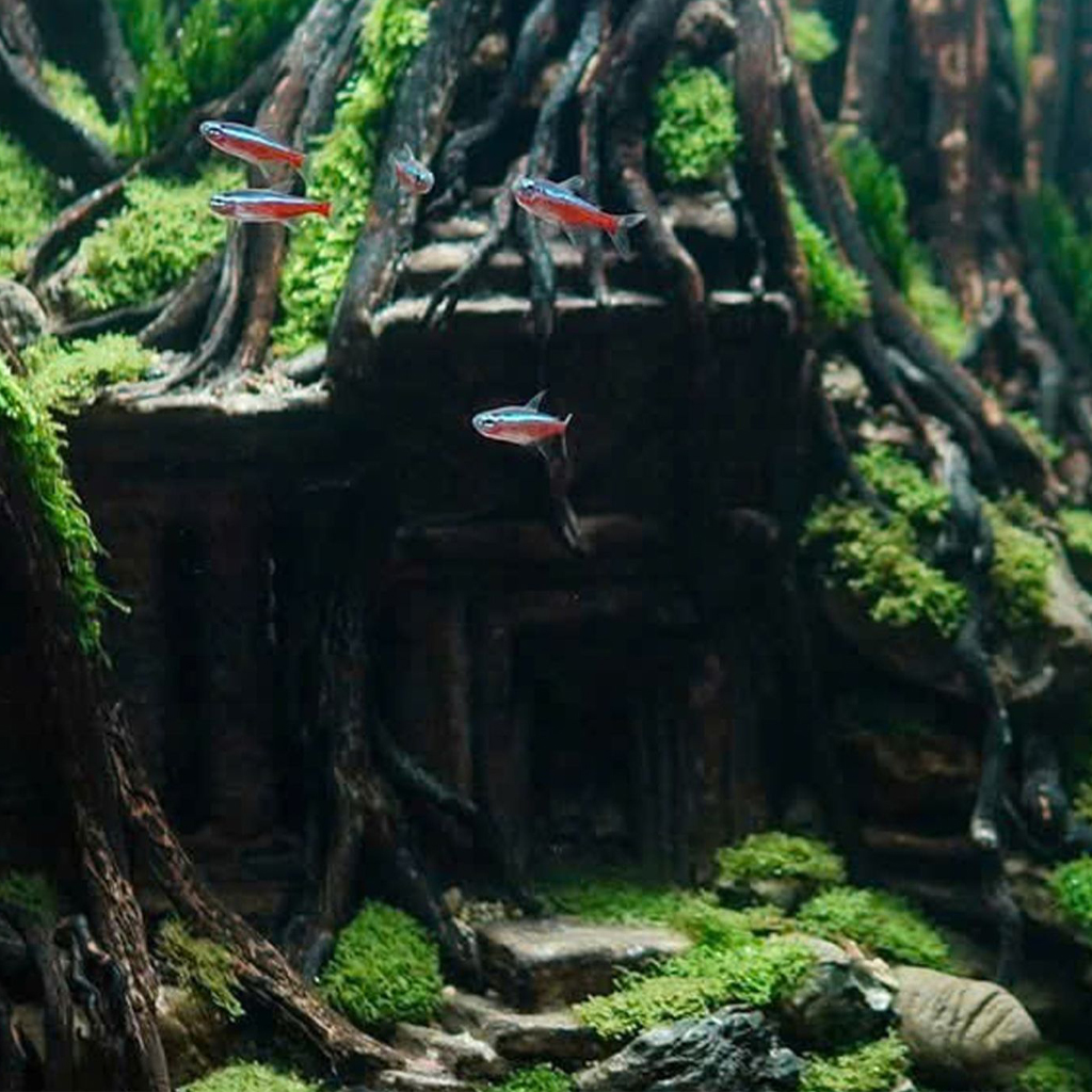 aquarium decoration