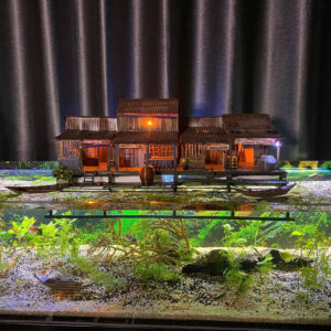 Aquarium Decorations