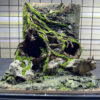 aquarium