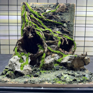 aquarium