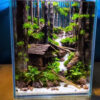 jungle aquascape
