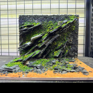 aquascape