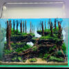 aquarium ideas