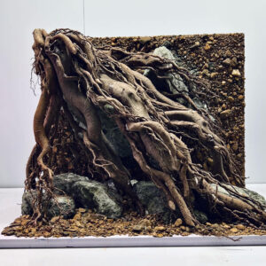 Aquascaping