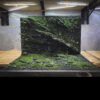 aquascape ideas