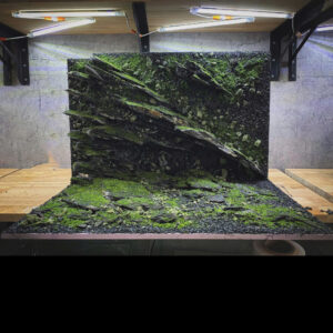 aquascape ideas