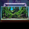 aquarium