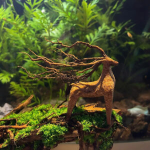 aquarium decor