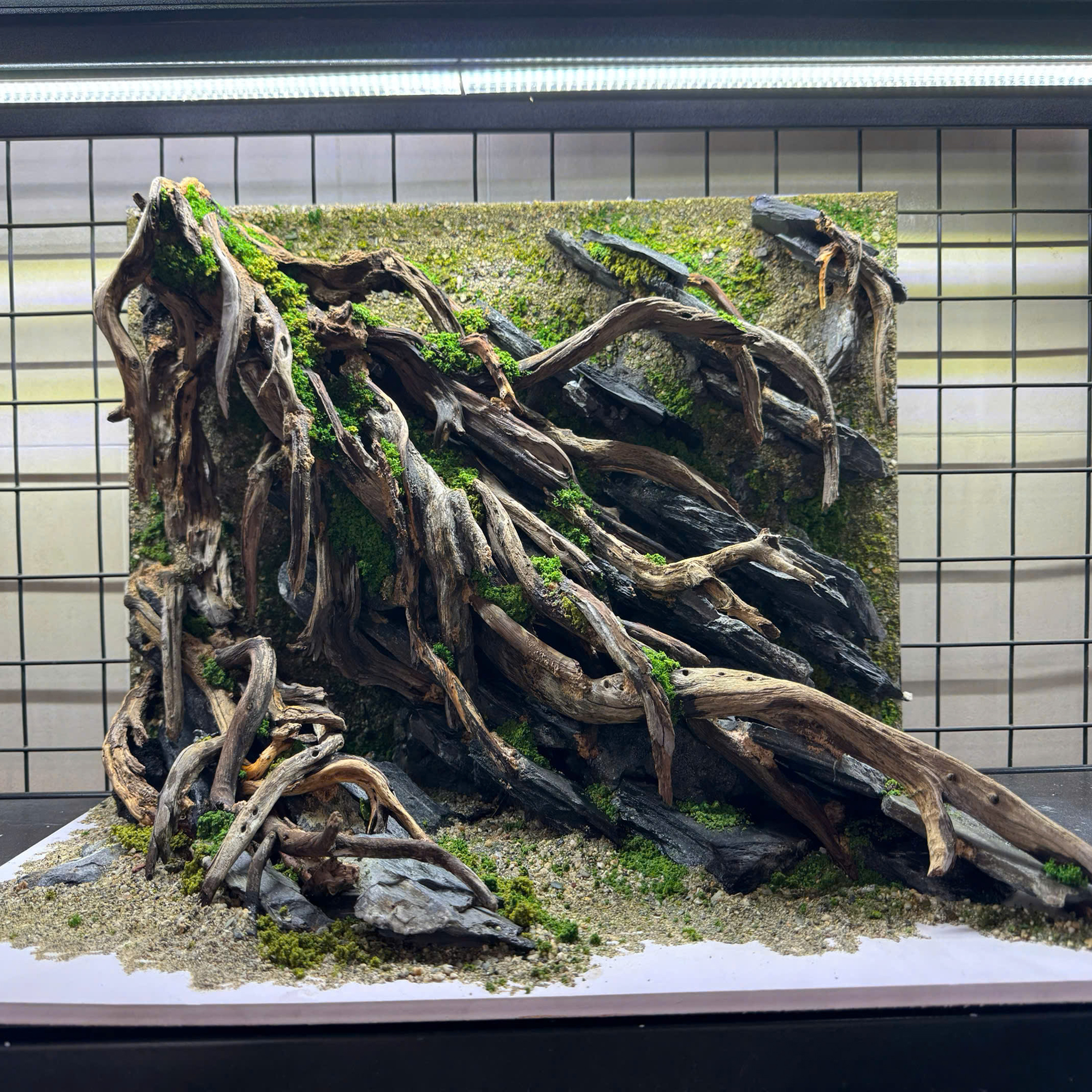 Aquascape Aquarium , Jungle aquascape - Image 4