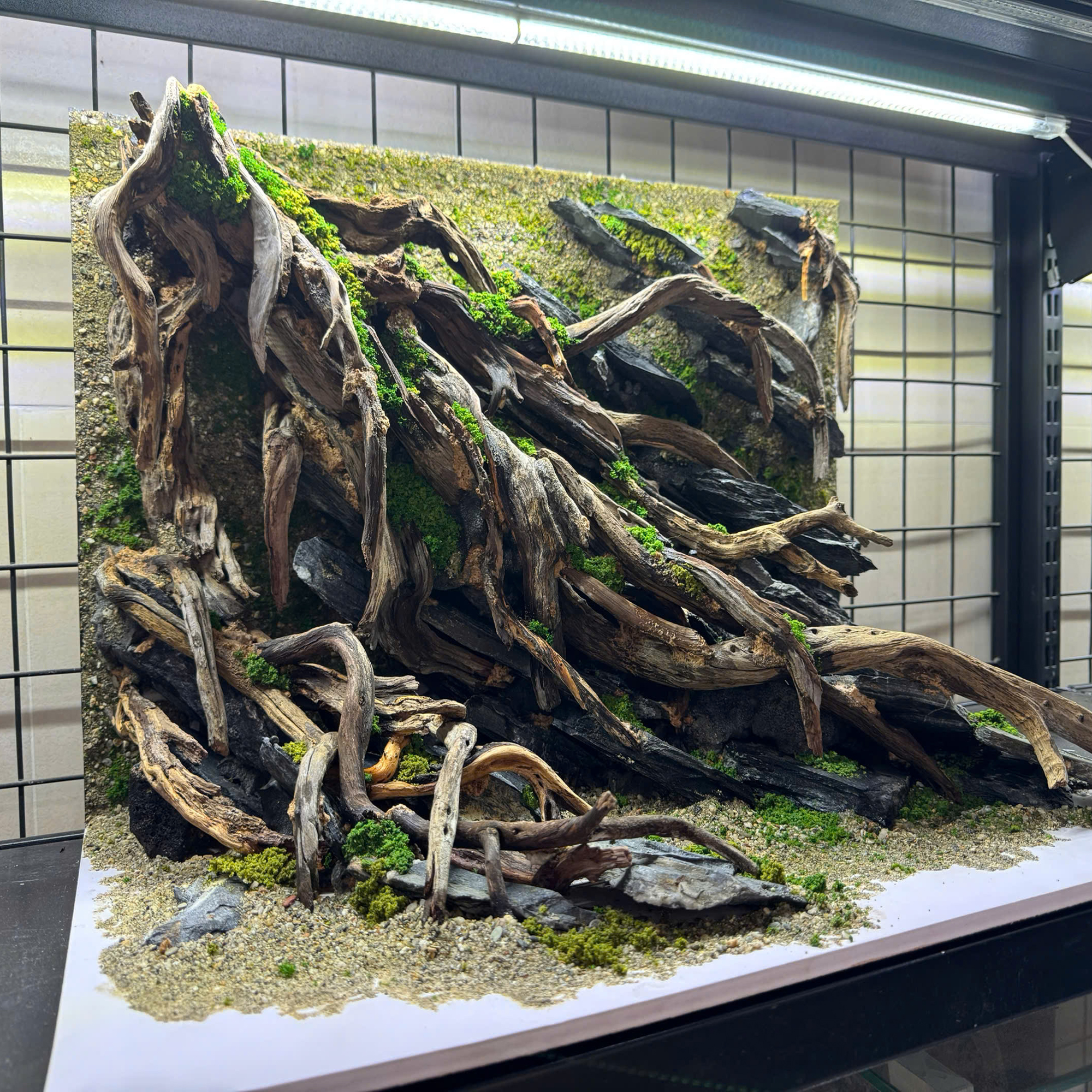 Aquascape Aquarium , Jungle aquascape - Image 7