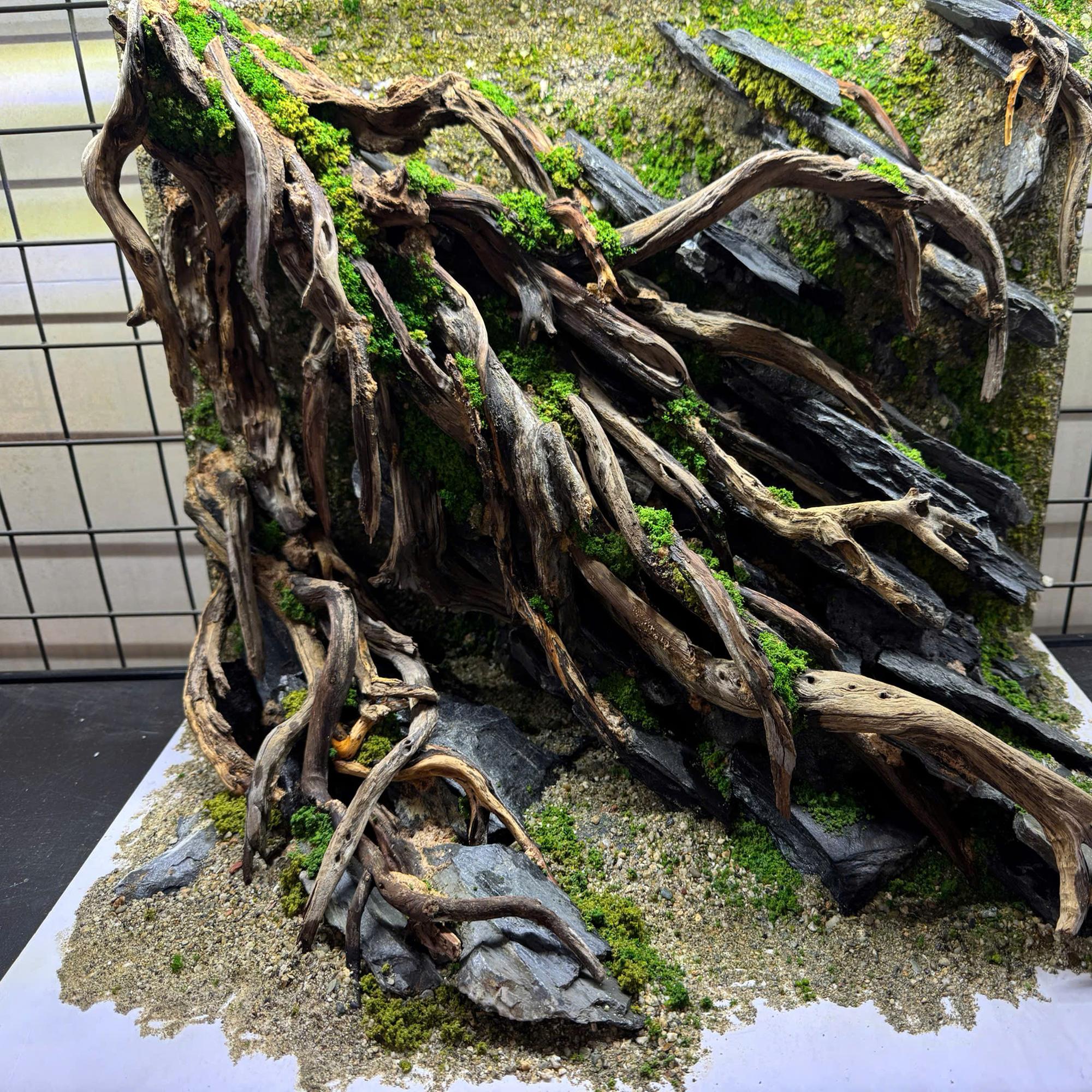 Aquascape Aquarium , Jungle aquascape - Image 8