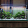 aquascape hardscape