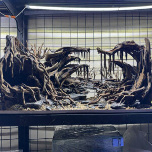 Jungle Aquascape Aquarium sacred forest