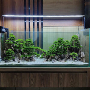 aquascape hardscape
