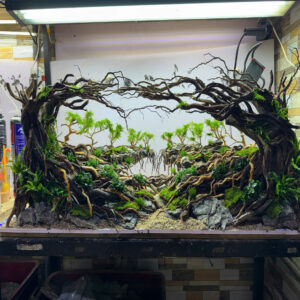 Handmade Aquascape Decor, Aquarium Landscape,Jungle Hardscape