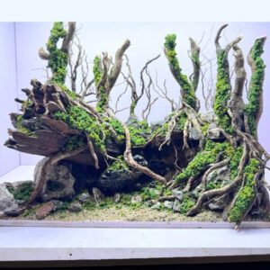 Handmade Aquascape Decor, Aquarium Landscape
