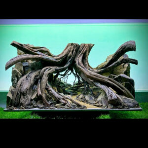 Forest Hardscape Aquarium, Aquarium decoration