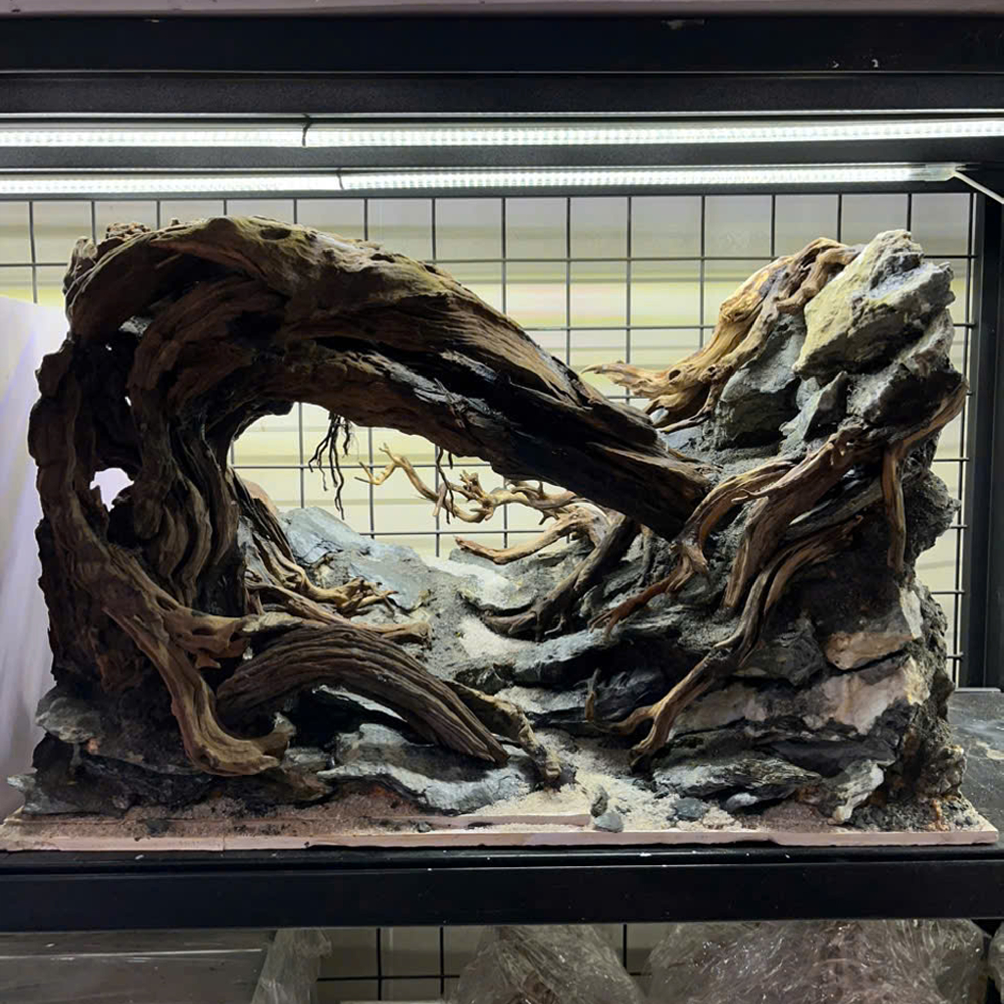 jung aquascape