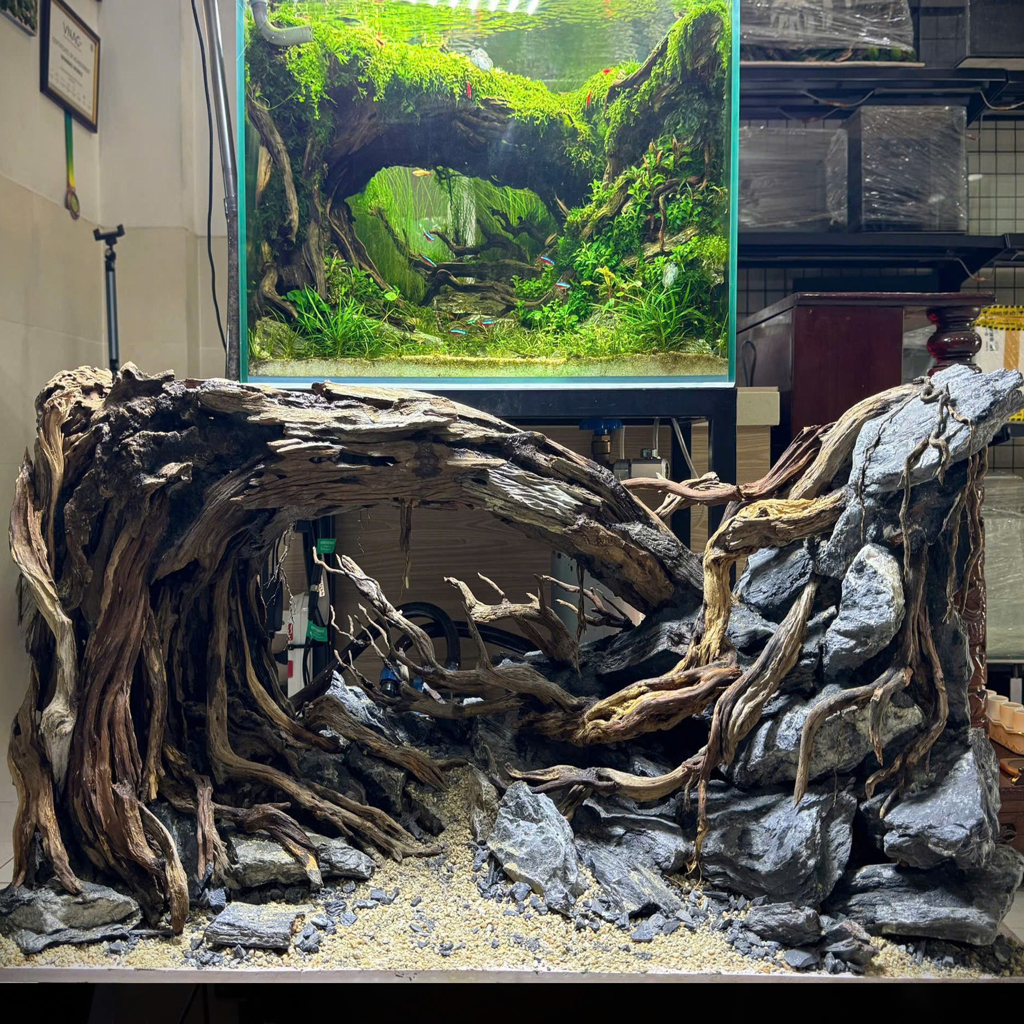 Forest Layouts Aquarium, Aquarium decoration - Image 8