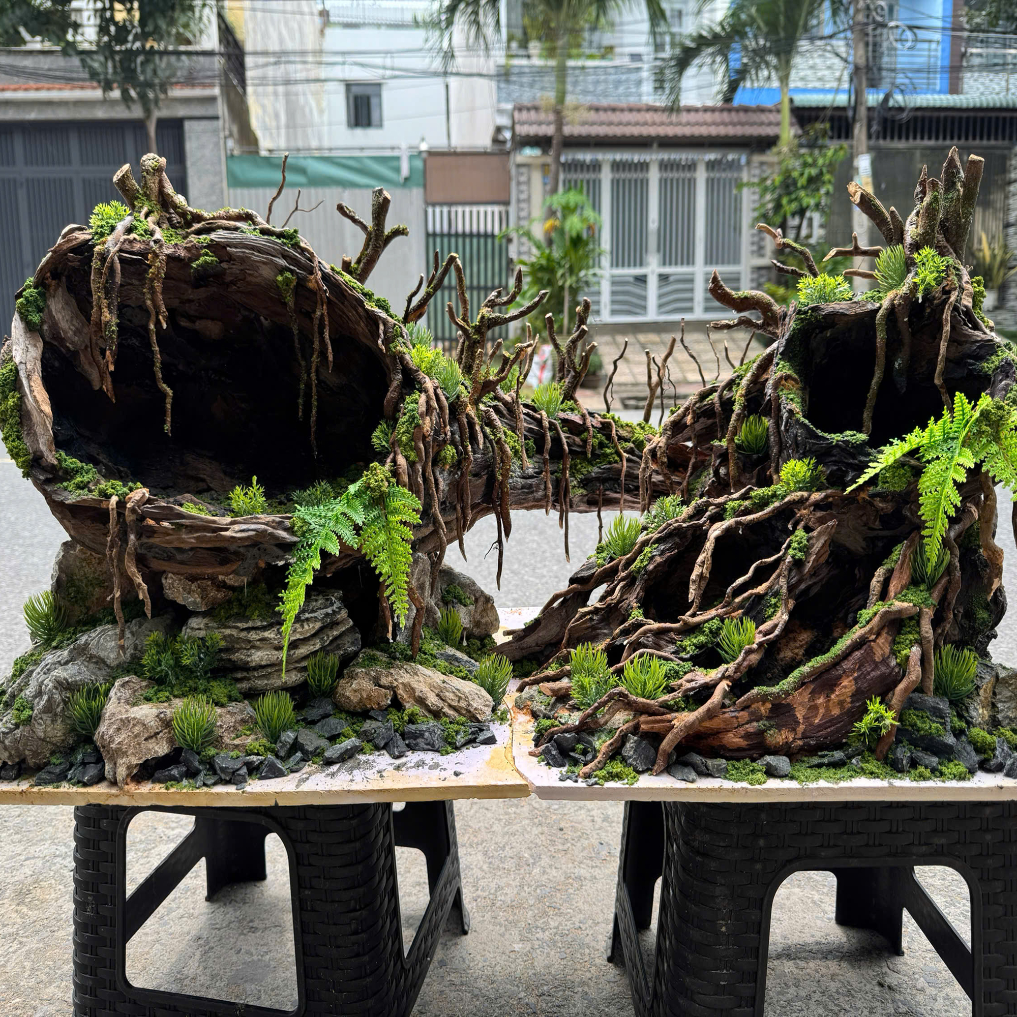 Jungle hardscape cave Aquarium, aquascape