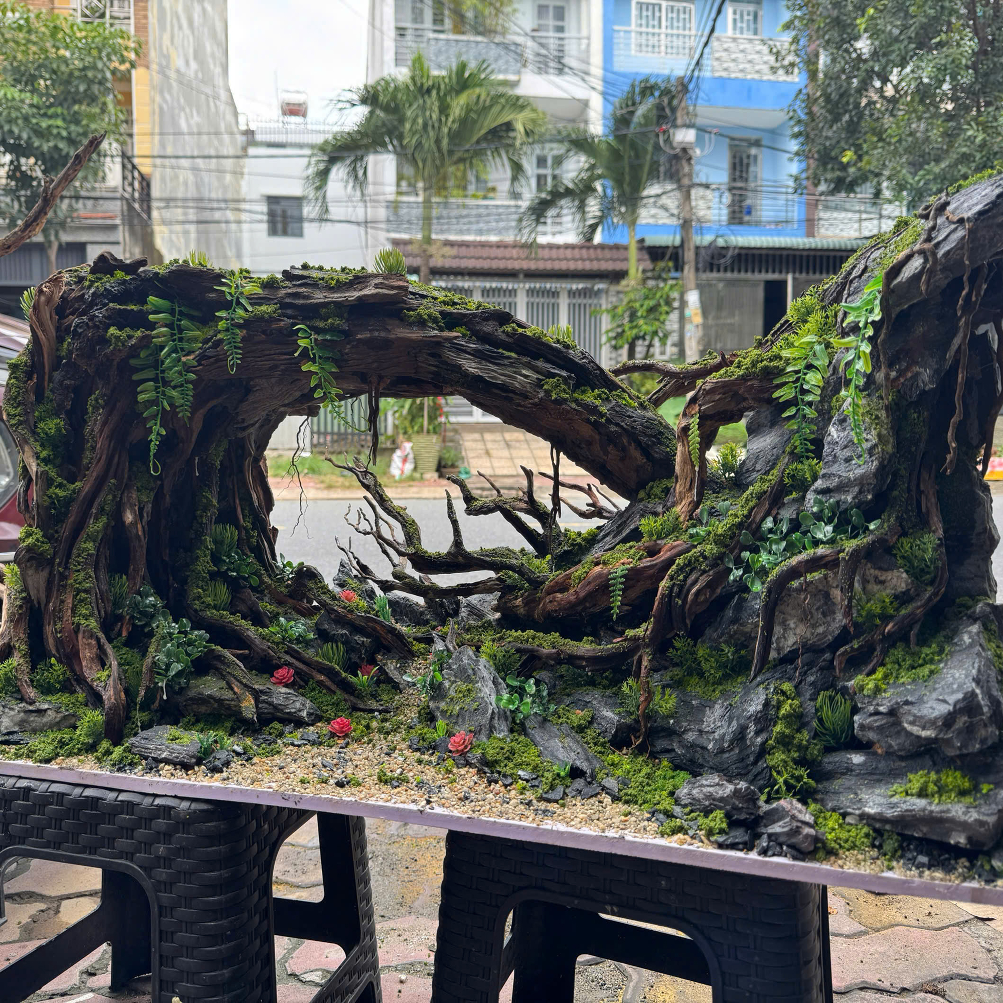Forest Layouts Aquarium, Aquarium decoration - Image 7
