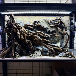 3D Hardscape backgroud Aquascape