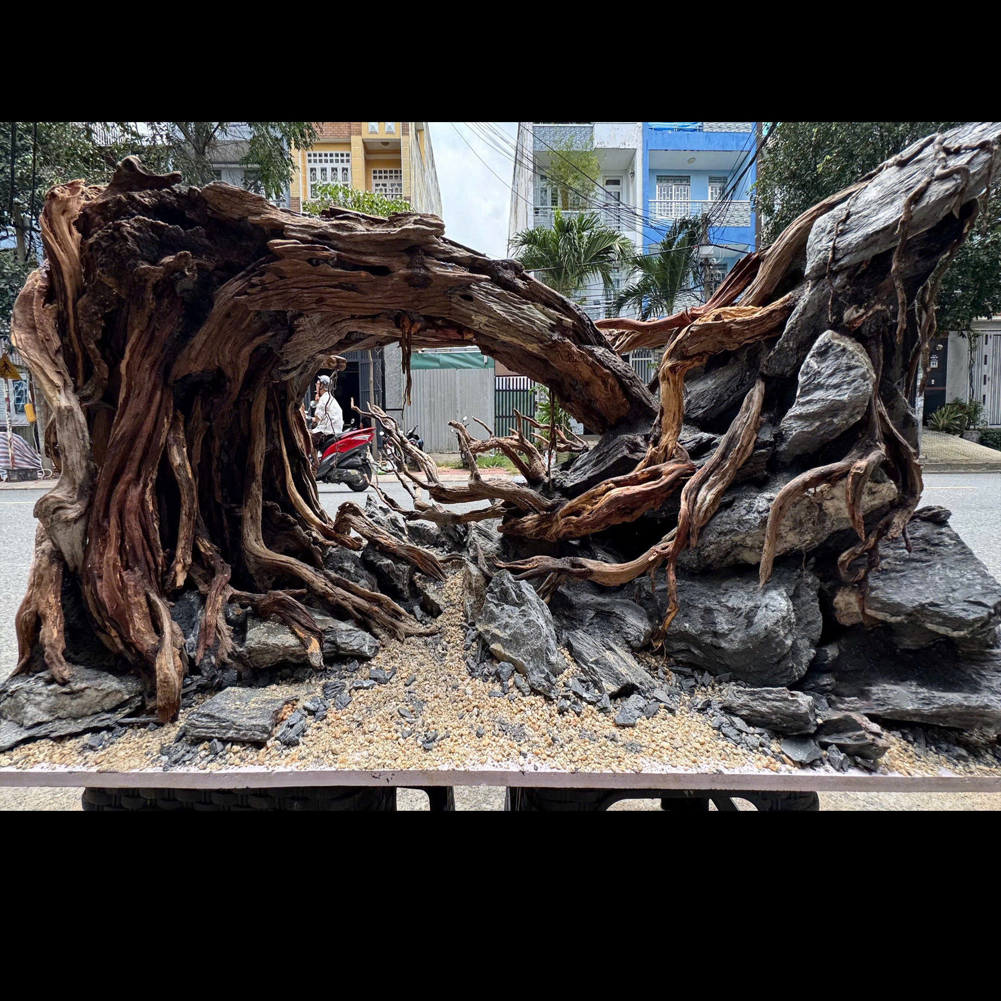 Forest Layouts Aquarium, Aquarium decoration - Image 3
