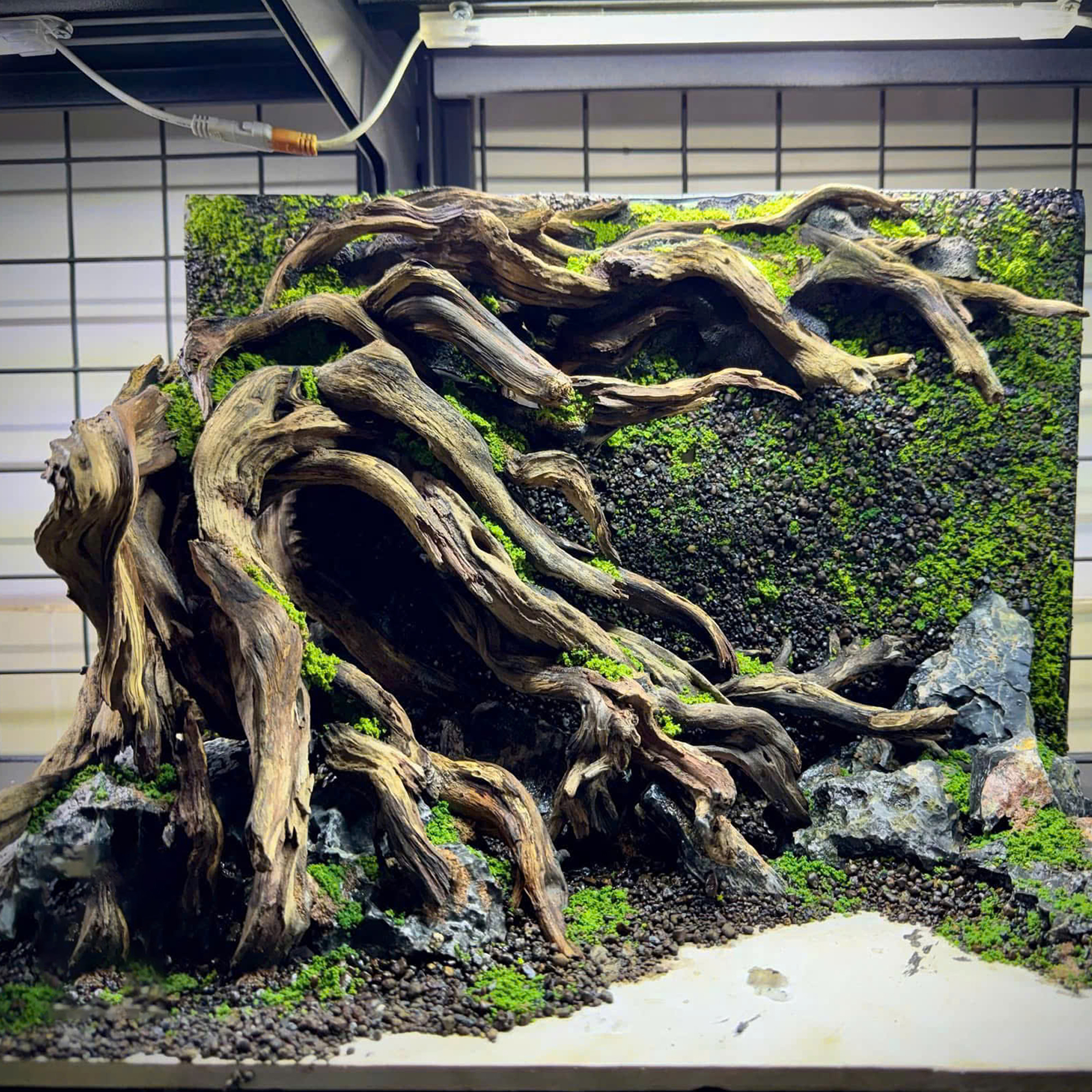 3D Hardscape backgroud aquarium decoration - Image 7