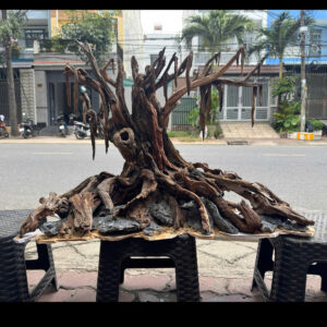 Nature Style