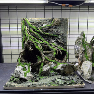 aquarium decor,aquascaping,aquascape