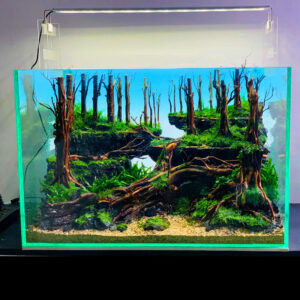 Waterfall forest Aquascape Aquarium sacred forest