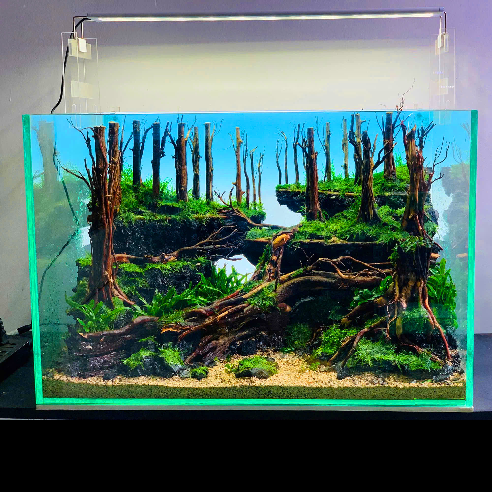Waterfall forest Aquascape Aquarium sacred forest