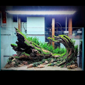 hardscape aquarium