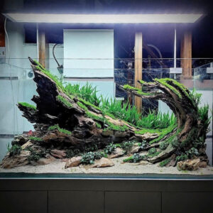 Nature hardscape aquarium, Terrarium decoration,Vivarium decoration