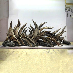 Natural Aquascape Layout – Vivarium,Terrarium hardscape