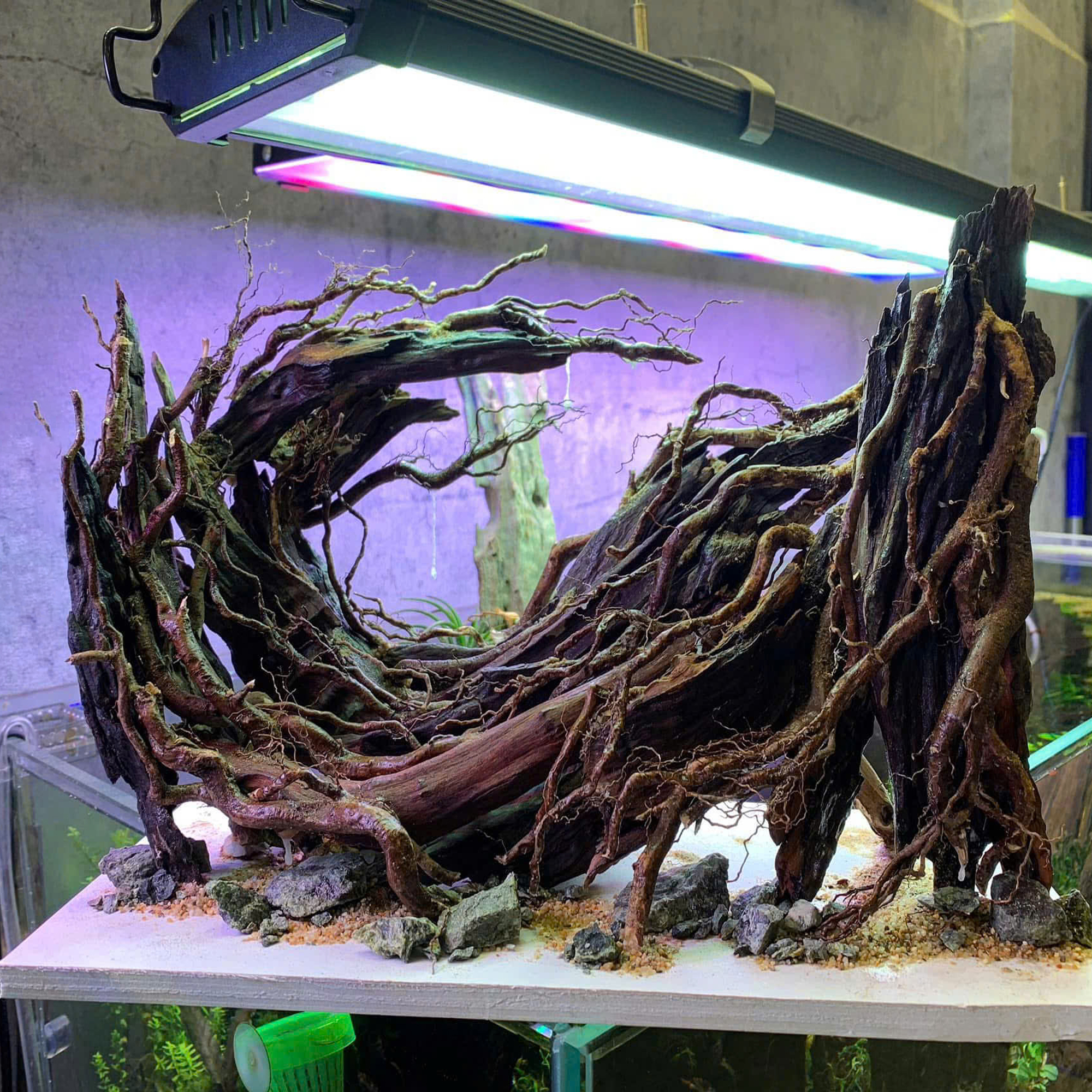 Nature Aquascape aquarium, Aquarium decoration - Image 7
