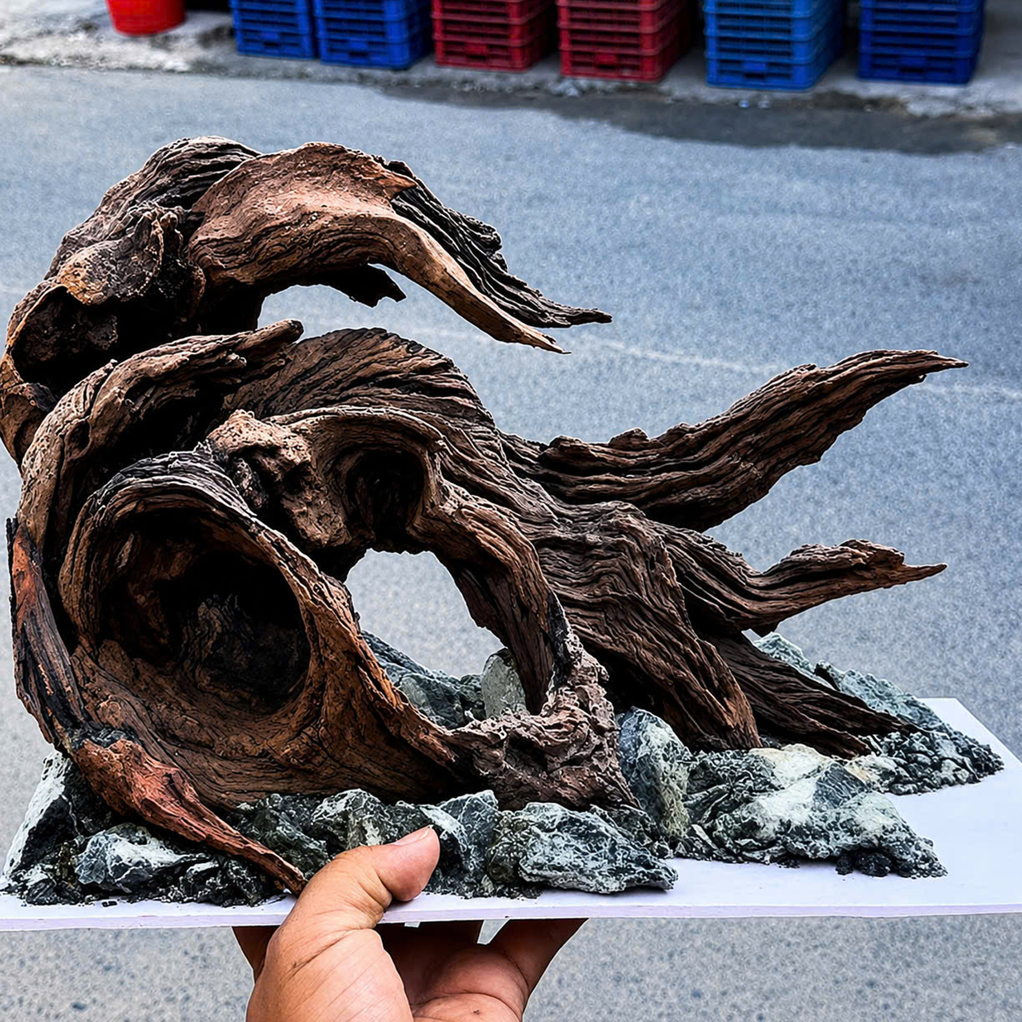 Nature Hardscape Aquarium sacred forest - Image 7