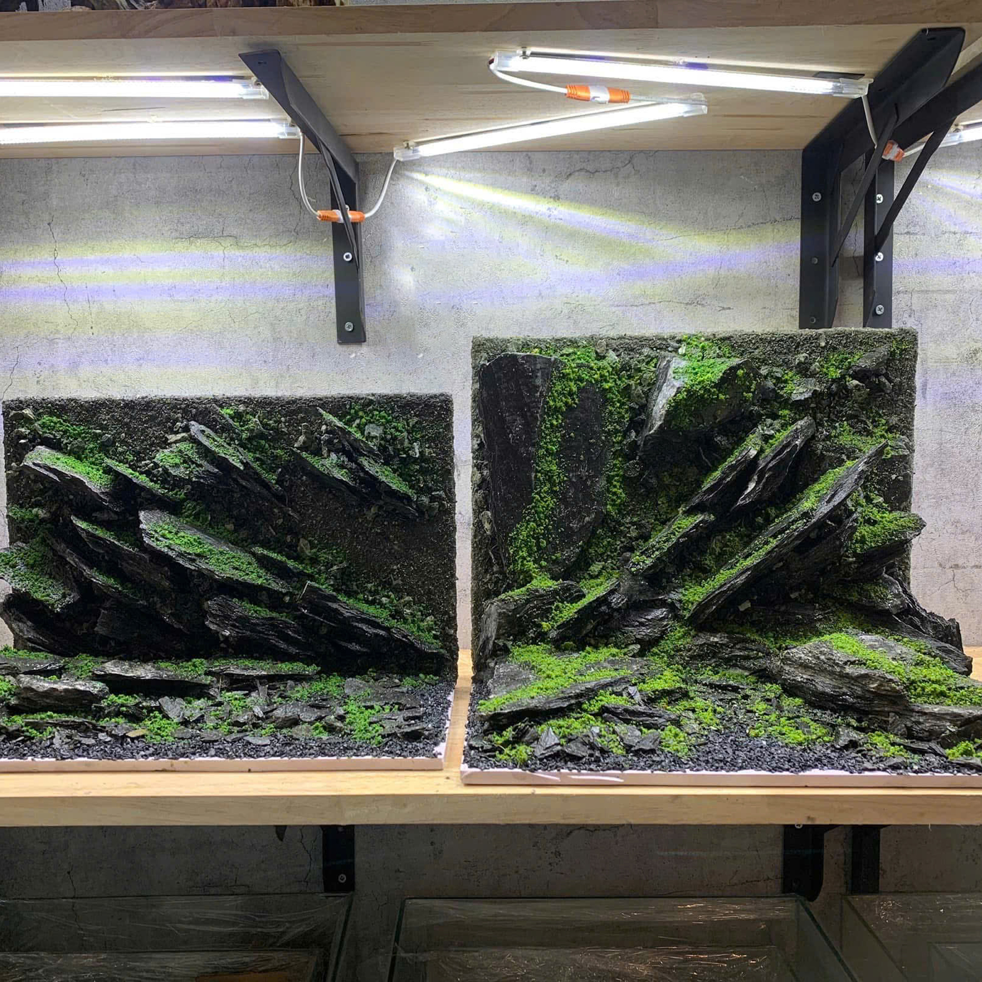 3D aquascape backgroud aquarium decoration - Image 4