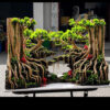 Jungle Aquascape