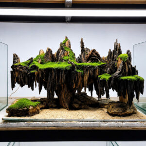 Aquarium decor,Aquascaping,Jungle aquascape,Fish tank decor