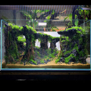terrarium decoration