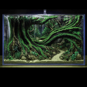 Forest Aquascaping, Aquarium Hardscape
