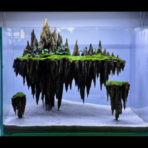 Aquarium decor,Aquascaping,Jungle aquascape,Fish tank decor