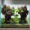 aquascape design