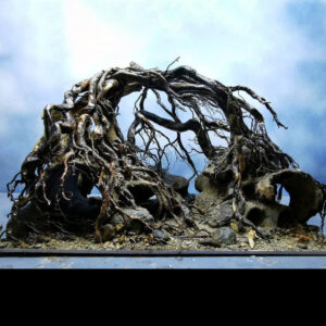 vivarium decoration