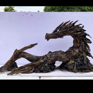 Unique Aquascape,Dragon driftwood art for fish tank,Vivarium,Aquarium decor