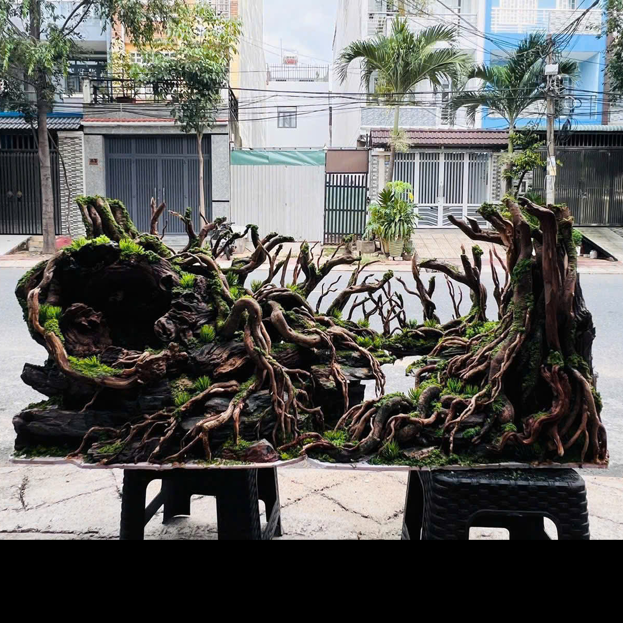 jungle hardscape
