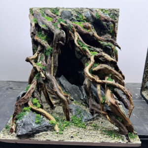 Aquascape Aquarium , Jungle aquascape, Paludarium