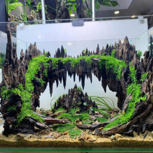 unique hardscape aquarium