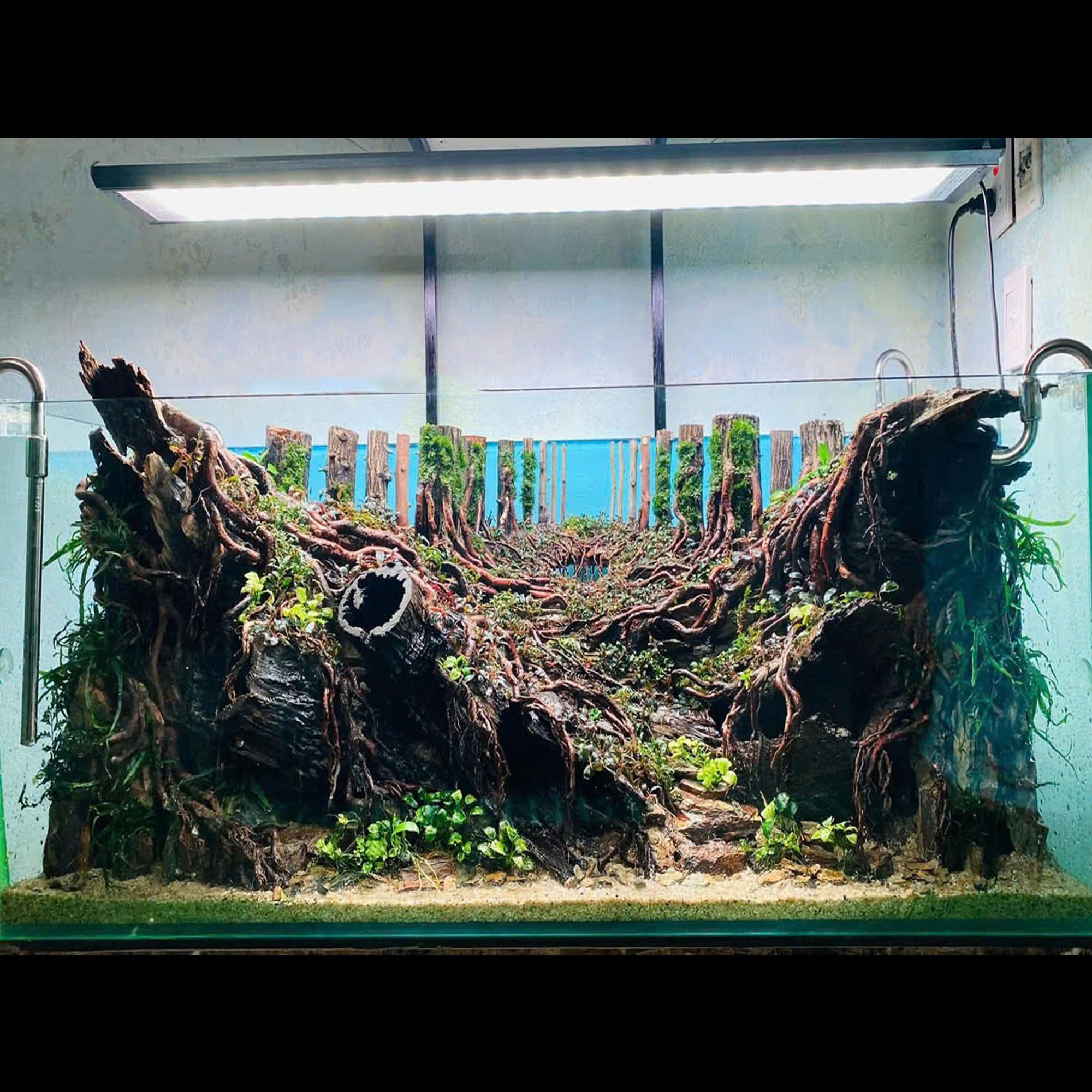 Jungle hardscape Aquarium, cave hardscape - Image 7